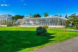 THE GLASSHOUSES IN THE BOTANIC GARDENS IN DUBLIN [3 MAY 2025]-250337-1