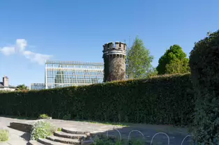 THE GLASSHOUSES IN THE BOTANIC GARDENS IN DUBLIN [3 MAY 2025]-250340-1