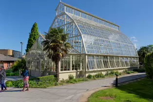 THE GLASSHOUSES IN THE BOTANIC GARDENS IN DUBLIN [3 MAY 2025]-250341-1