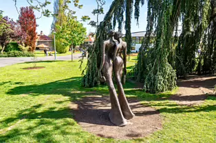 THE BEST NIGHT EVER BY BOB QUINN [BOTANIC GARDENS 3 MAY 2025]-250307-1
