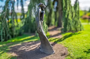 THE BEST NIGHT EVER BY BOB QUINN [BOTANIC GARDENS 3 MAY 2025]-250308-1