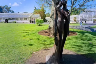 THE BEST NIGHT EVER BY BOB QUINN [BOTANIC GARDENS 3 MAY 2025]-250309-1
