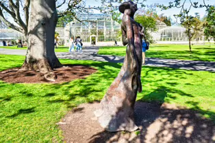 THE BEST NIGHT EVER BY BOB QUINN [BOTANIC GARDENS 3 MAY 2025]-250310-1