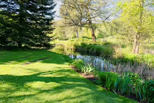 EXPLORING THE POND AREA OF THE BOTANIC GARDENS [DUBLIN 3 MAY 2025]-250342-1