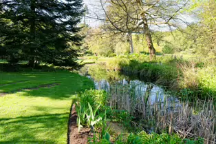EXPLORING THE POND AREA OF THE BOTANIC GARDENS [DUBLIN 3 MAY 2025]-250344-1