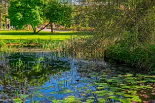 EXPLORING THE POND AREA OF THE BOTANIC GARDENS [DUBLIN 3 MAY 2025]-250350-1