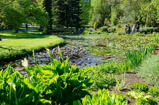 EXPLORING THE POND AREA OF THE BOTANIC GARDENS [DUBLIN 3 MAY 2025]-250363-1