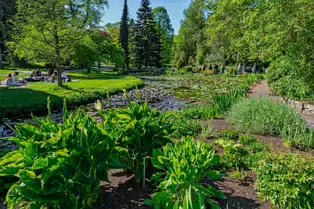 EXPLORING THE POND AREA OF THE BOTANIC GARDENS [DUBLIN 3 MAY 2025]-250364-1