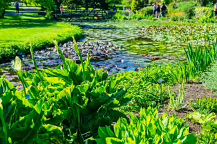 EXPLORING THE POND AREA OF THE BOTANIC GARDENS [DUBLIN 3 MAY 2025]-250365-1