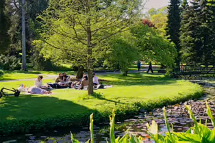 EXPLORING THE POND AREA OF THE BOTANIC GARDENS [DUBLIN 3 MAY 2025]-250366-1