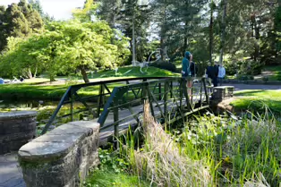 EXPLORING THE POND AREA OF THE BOTANIC GARDENS [DUBLIN 3 MAY 2025]-250374-1