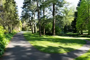 EXPLORING THE POND AREA OF THE BOTANIC GARDENS [DUBLIN 3 MAY 2025]-250385-1
