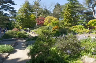 THE ROCKERY AT THE BOTANIC GARDENS - SESSION ONE [SONY FX30 WITH 16-35MM F2.8 GM II LENS]-250516-1