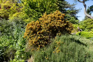 THE ROCKERY AT THE BOTANIC GARDENS - SESSION ONE [SONY FX30 WITH 16-35MM F2.8 GM II LENS]-250520-1