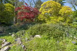 THE ROCKERY AT THE BOTANIC GARDENS - SESSION ONE [SONY FX30 WITH 16-35MM F2.8 GM II LENS]-250521-1
