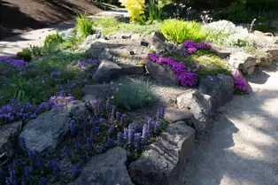 THE ROCKERY AT THE BOTANIC GARDENS - SESSION ONE [SONY FX30 WITH 16-35MM F2.8 GM II LENS]-250522-1