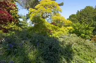 THE ROCKERY AT THE BOTANIC GARDENS - SESSION ONE [SONY FX30 WITH 16-35MM F2.8 GM II LENS]-250524-1