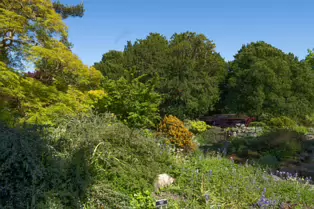 THE ROCKERY AT THE BOTANIC GARDENS - SESSION ONE [SONY FX30 WITH 16-35MM F2.8 GM II LENS]-250525-1