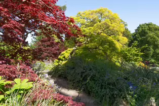 THE ROCKERY AT THE BOTANIC GARDENS - SESSION ONE [SONY FX30 WITH 16-35MM F2.8 GM II LENS]-250527-1