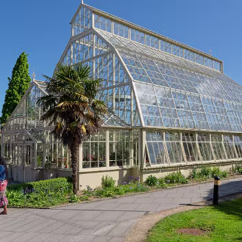 GLASSHOUSES IN THE BOTANIC GARDENS The National Botanic Gardens in Dublin, located in Glasnevin, boast a remarkable collection of beautifully restored and...