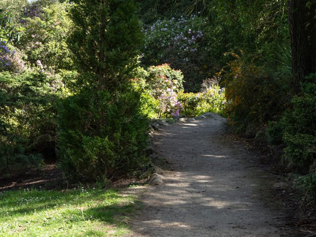 THE ROCKERY AT THE BOTANIC GARDENS