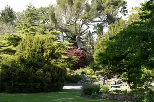THE ROCKERY AT THE BOTANIC GARDENS - SESSION TWO [SONY A7RIV WITH 70-200 G II F4 LENS]-250532-1