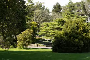 THE ROCKERY AT THE BOTANIC GARDENS - SESSION TWO [SONY A7RIV WITH 70-200 G II F4 LENS]-250533-1