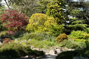 THE ROCKERY AT THE BOTANIC GARDENS - SESSION TWO [SONY A7RIV WITH 70-200 G II F4 LENS]-250535-1