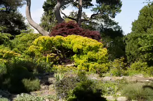 THE ROCKERY AT THE BOTANIC GARDENS - SESSION TWO [SONY A7RIV WITH 70-200 G II F4 LENS]-250536-1
