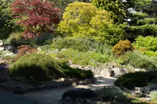 THE ROCKERY AT THE BOTANIC GARDENS - SESSION TWO [SONY A7RIV WITH 70-200 G II F4 LENS]-250537-1