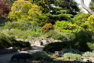 THE ROCKERY AT THE BOTANIC GARDENS - SESSION TWO [SONY A7RIV WITH 70-200 G II F4 LENS]-250538-1