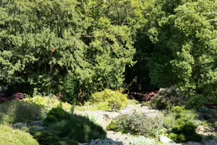 THE ROCKERY AT THE BOTANIC GARDENS - SESSION TWO [SONY A7RIV WITH 70-200 G II F4 LENS]-250539-1
