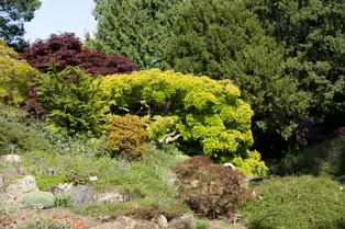 THE ROCKERY AT THE BOTANIC GARDENS - SESSION TWO [SONY A7RIV WITH 70-200 G II F4 LENS]-250540-1