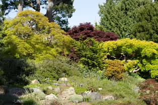 THE ROCKERY AT THE BOTANIC GARDENS - SESSION TWO [SONY A7RIV WITH 70-200 G II F4 LENS]-250541-1