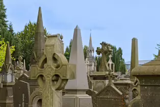 GLASNEVIN CEMETERY SESSION 1 SUNDAY 4 MAY 2025]-250443-1