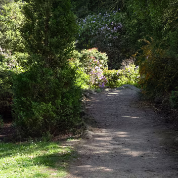 THE ROCKERY AT THE BOTANIC GARDENS I visited the Botanic Gardens on Saturday and on Sunday. On Saturday I used a crop sensor Sony FX30 with a 16-35mm F2.8...