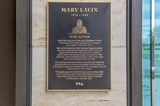 MARY LAVIN PLACE [NEW PUBLIC SPACE BETWEEN LAD LANE AND WILTON PLACE]-250093-1