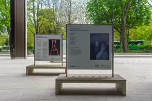 MARY LAVIN PLACE [NEW PUBLIC SPACE BETWEEN LAD LANE AND WILTON PLACE]-250099-1