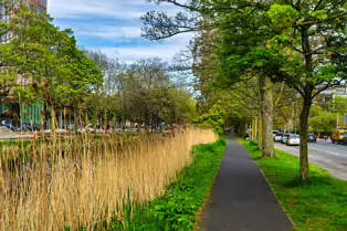 MESPIL ROAD [ON THE SOUTH BANK OF THE GRAND CANAL]-249952-1