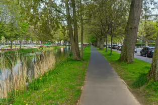 MESPIL ROAD [ON THE SOUTH BANK OF THE GRAND CANAL]-249956-1