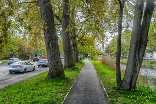MESPIL ROAD [ON THE SOUTH BANK OF THE GRAND CANAL]-249959-1