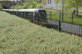 RIALTO TRAM STOP AT GLENMALURE VILLAS - JAMES'S WALK [WEDNESDAY 14 MAY 2025]-251218-1
