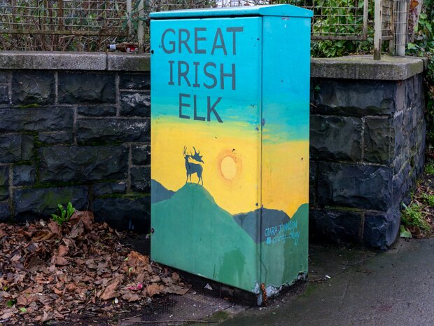 PAINT-A-BOX STREET ART The commercialization of street art is a complex issue with both positive and negative aspects. It has brought...
