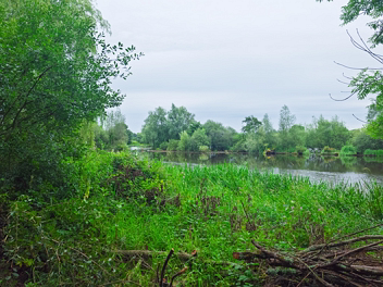 CORBALLY OPEN AIR BATHS My prior visits to Limerick always piqued my curiosity about a little-known feature on the River Shannon: the Corbally...
