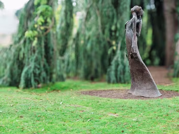 BY BOB QUINN