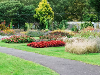 OCTOBER 2024 VISIT Autumn is a truly magical time to visit botanic gardens. As the days shorten and the air turns crisp, the gardens...