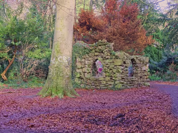 MORE ABOUT FOLLIES
