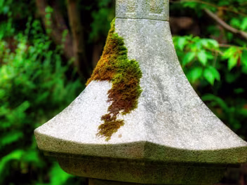 JAPANESE GARDENS IN KILDARE