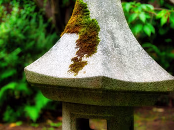 THE JAPANESE GARDENS The Japanese Gardens, within the grounds of the Irish National Stud just outside Kildare town, are a captivating...