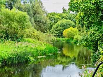 THE RIVER LIFFEY AND NEWBRIDGE